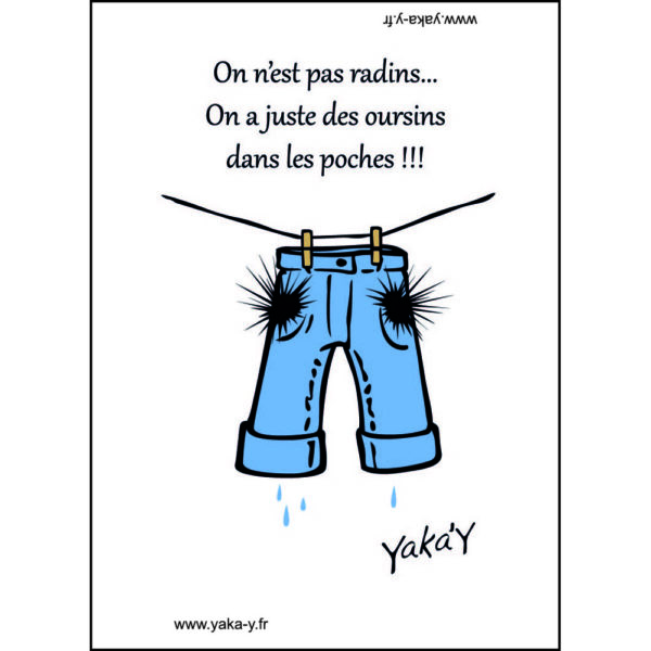Magnet Oursins dans les poches