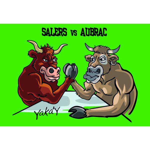 Magnet Salers contre Aubrac