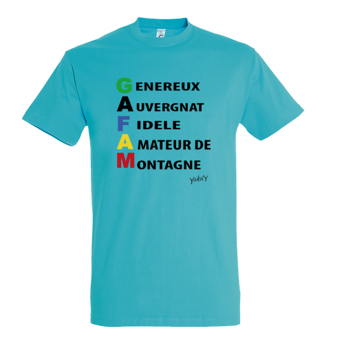 T-shirt GAFAM auvergnat
